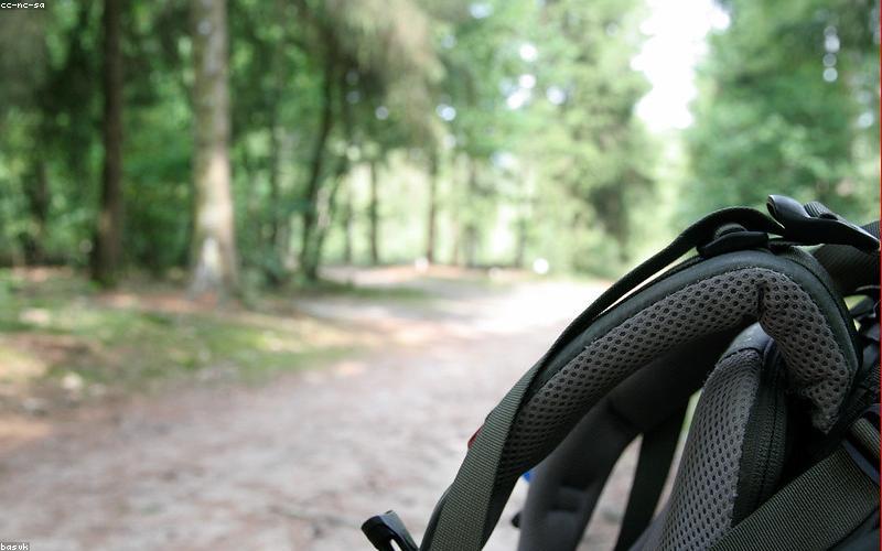 Best Backpack 2026