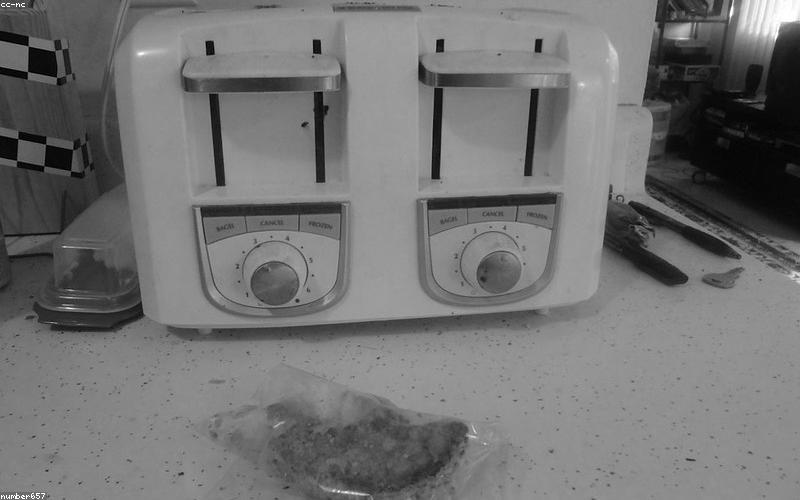 Best Toaster in 2026: 5 Models for Perfect Toast