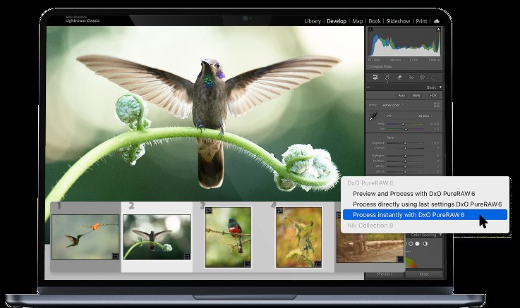 DxO PureRAW 6 &mdash; Lightroom Classic plugin workflow