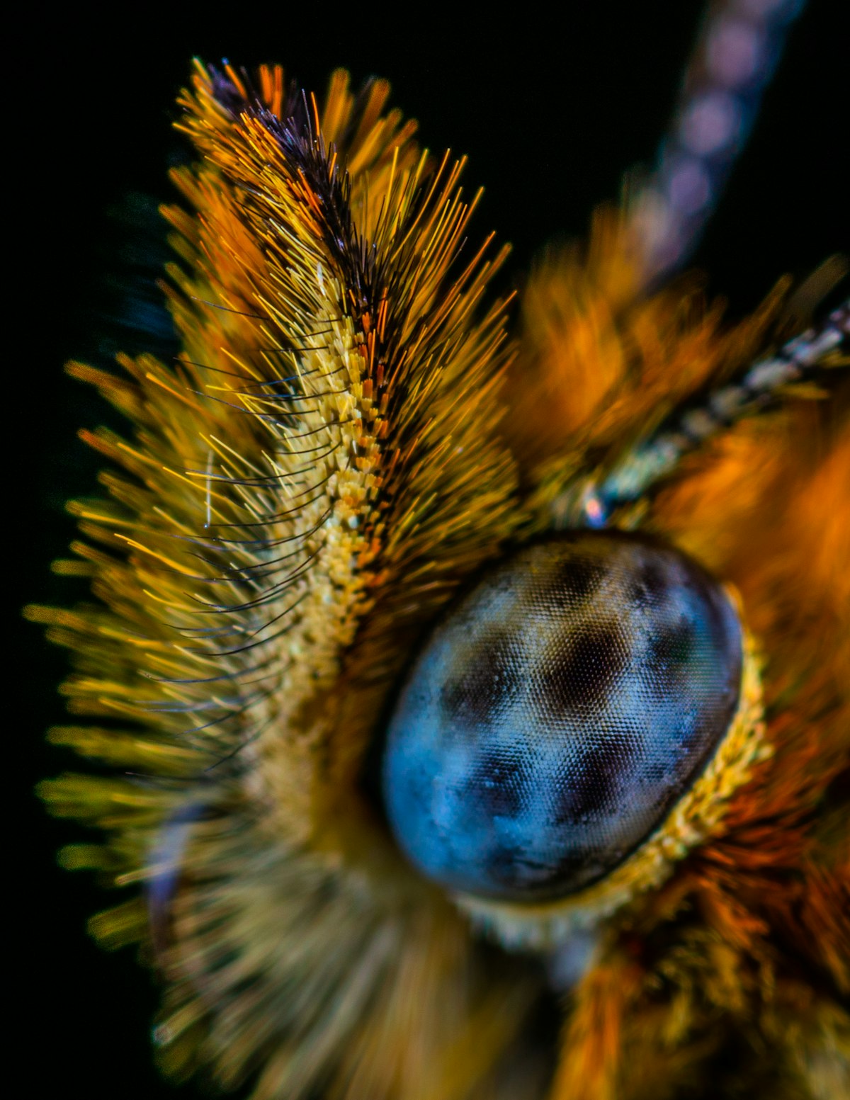 Macro photography