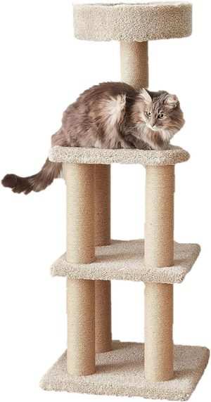 Go Pet Club 62 inch budget cat tree