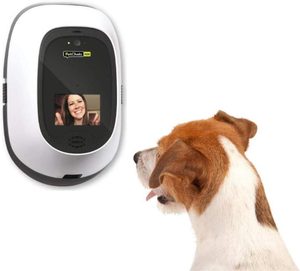 PetChatz HDX interactive two-way dog camera