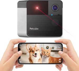 Petcube Bites 2 Lite pet camera with treat dispenser